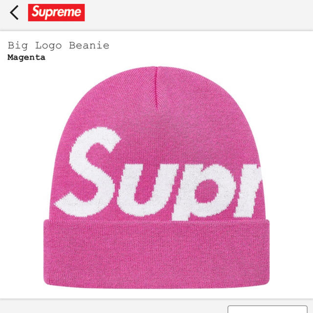 Supreme(シュプリーム)のsupreme Big Logo Beanie シュプリーム  ロゴ　ニット メンズの帽子(ニット帽/ビーニー)の商品写真