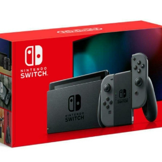 任天堂 Switch グレー 2点セット 新品未使用