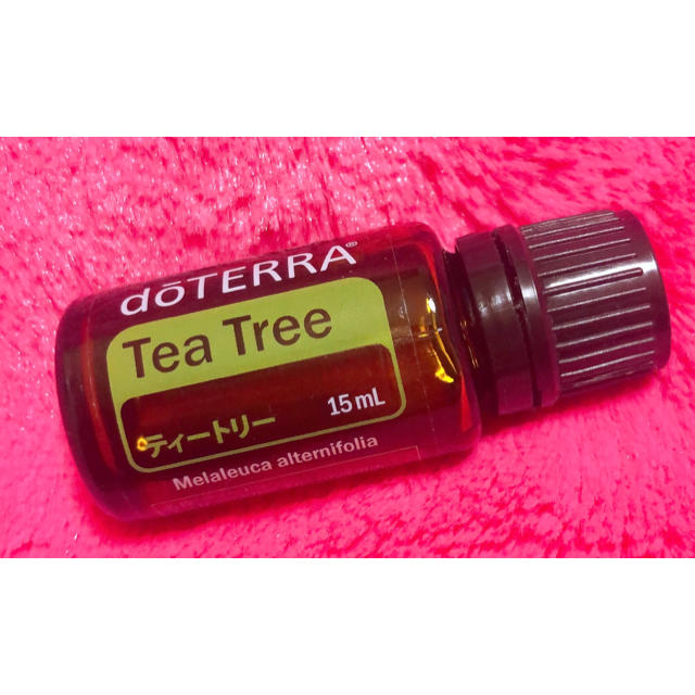 ドテラ(doTERRA)★ティートリー コスメ/美容のリラクゼーション(エッセンシャルオイル（精油）)の商品写真