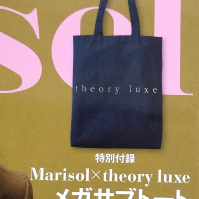 Theory luxe(セオリーリュクス)のtheory luxe（セオリーリュクス）メガサブトートバッグ レディースのバッグ(トートバッグ)の商品写真