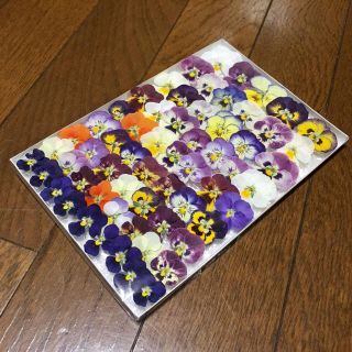 お花屋さんが作った本日のドライフラワーはビオラです！ ③(ドライフラワー)