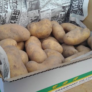 ふらのじゃがいも　メークイン(野菜)