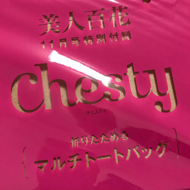 Chesty(チェスティ)の美人百花　付録　chesty レディースのバッグ(その他)の商品写真