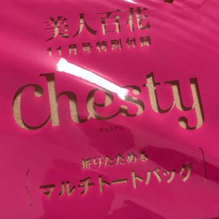 チェスティ(Chesty)の美人百花　付録　chesty(その他)