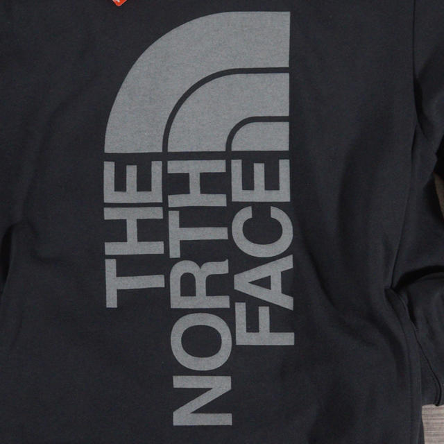 THE NORTH FACE(ザノースフェイス)の◆日本未発売◆North Face Trivert フーディー L リフレクター メンズのトップス(パーカー)の商品写真