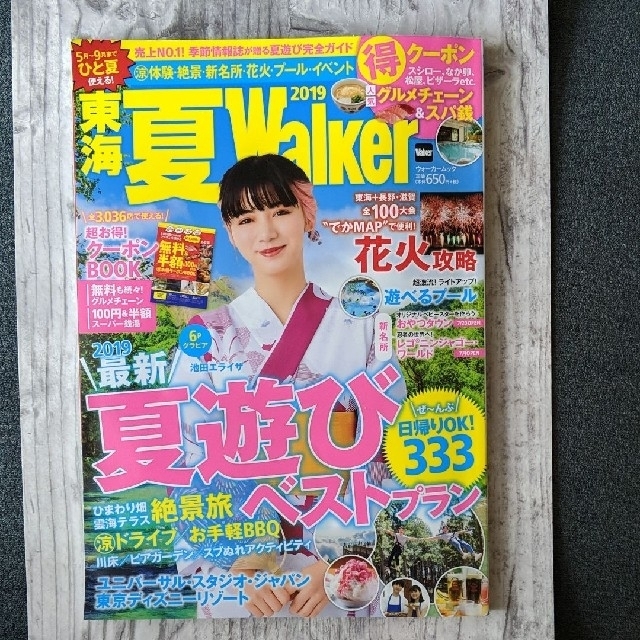 角川書店(カドカワショテン)の東海夏Walker2019 ウォーカームック エンタメ/ホビーの本(人文/社会)の商品写真