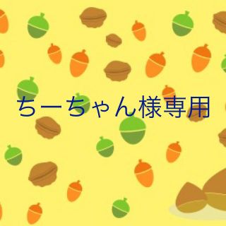 ちーちゃん様専用(フロアマット)