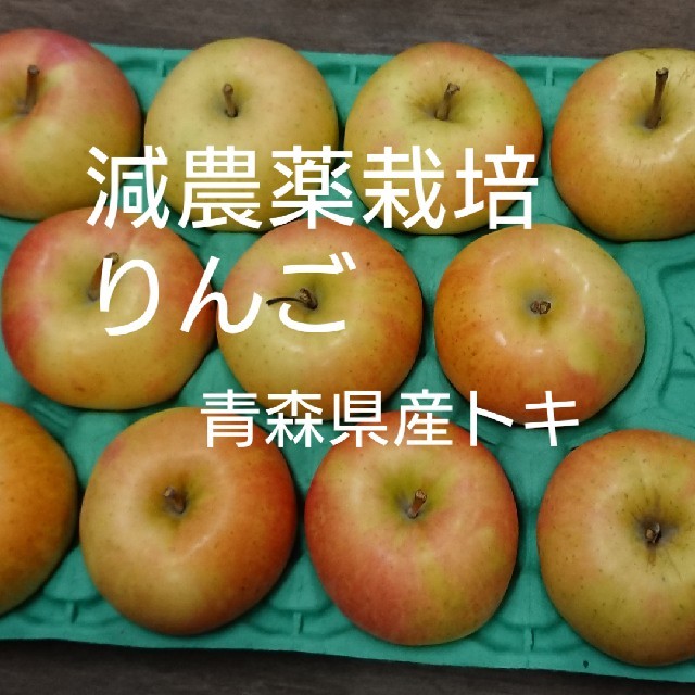 減農薬栽培りんご 青森県産トキ 食品/飲料/酒の食品(フルーツ)の商品写真