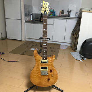 ピーアールエスピーアール(PRSPR)のPRS SE custom(エレキギター)