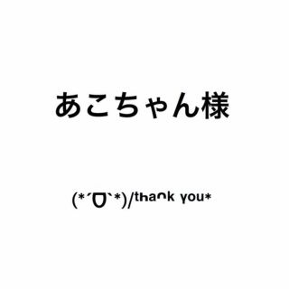 あこちゃんさま専用(その他)