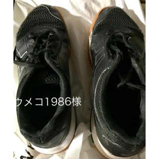 アシックス(asics)のバレーシューズ asics(バレーボール)