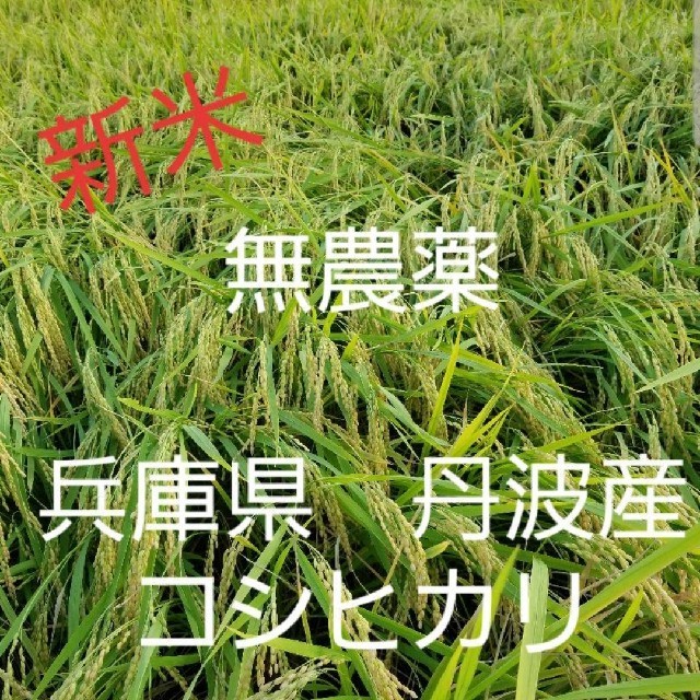 令和元年　兵庫県丹波産 無農薬コシヒカリ20キロ