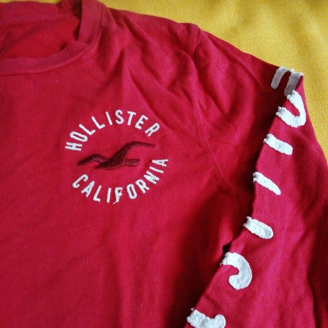 Hollister(ホリスター)のホリスター　長袖Tシャツ メンズのトップス(Tシャツ/カットソー(七分/長袖))の商品写真