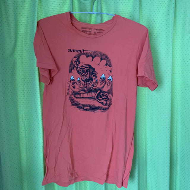 patagonia(パタゴニア)のパタゴニア ＴシャツMサイズ メンズのトップス(Tシャツ/カットソー(半袖/袖なし))の商品写真