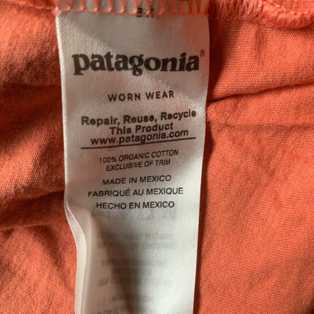 patagonia(パタゴニア)のパタゴニア ＴシャツMサイズ メンズのトップス(Tシャツ/カットソー(半袖/袖なし))の商品写真