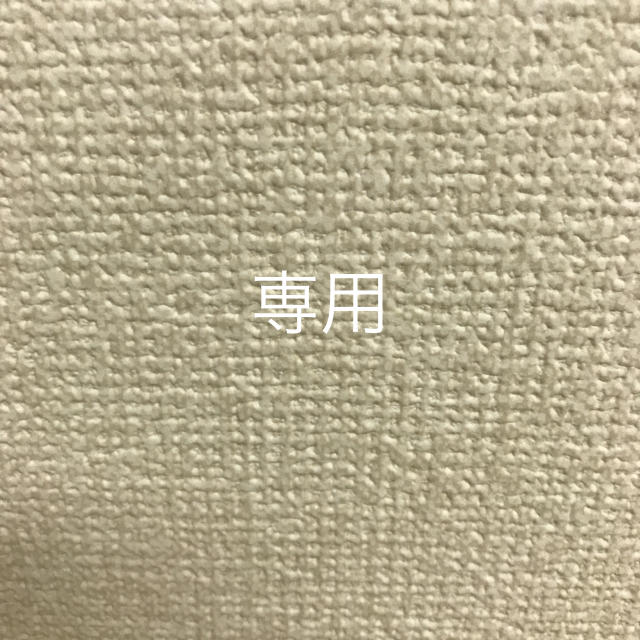 専用