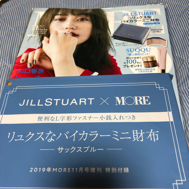 JILLSTUART(ジルスチュアート)のMORE11月号増刊 エンタメ/ホビーの雑誌(ファッション)の商品写真