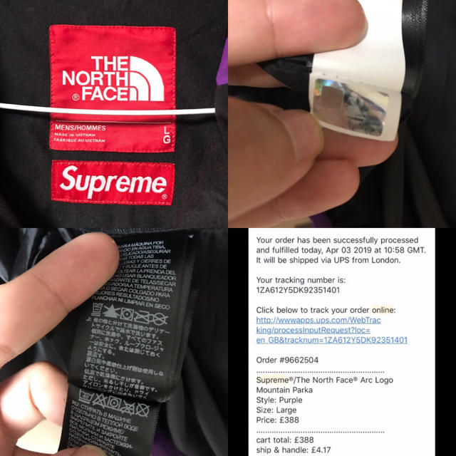 Supreme(シュプリーム)のLサイズ Supreme North Face Mountain Parka メンズのジャケット/アウター(マウンテンパーカー)の商品写真