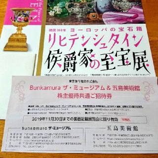 リヒテンシュタイン侯爵家の至宝展 招待券(美術館/博物館)