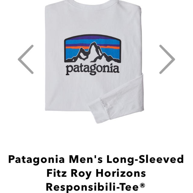 patagonia(パタゴニア)の新品タグ付　パタゴニア ロングスリーブ フィッツロイ ホライゾンズ　M レディースのトップス(カットソー(長袖/七分))の商品写真