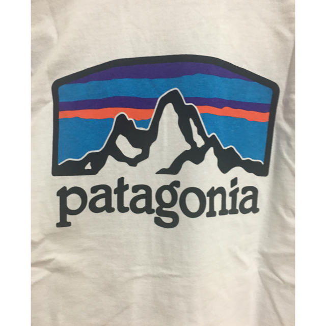 patagonia(パタゴニア)の新品タグ付　パタゴニア ロングスリーブ フィッツロイ ホライゾンズ　M レディースのトップス(カットソー(長袖/七分))の商品写真