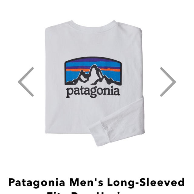 patagonia(パタゴニア)のラスト　新品タグ付　パタゴニア ロングスリーブ フィッツロイ ホライゾンズ　L メンズのトップス(Tシャツ/カットソー(七分/長袖))の商品写真