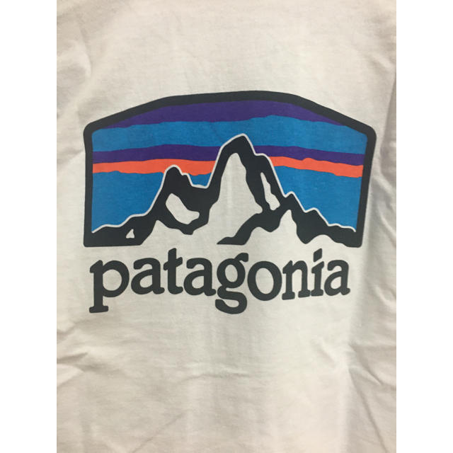 patagonia(パタゴニア)のラスト　新品タグ付　パタゴニア ロングスリーブ フィッツロイ ホライゾンズ　L メンズのトップス(Tシャツ/カットソー(七分/長袖))の商品写真