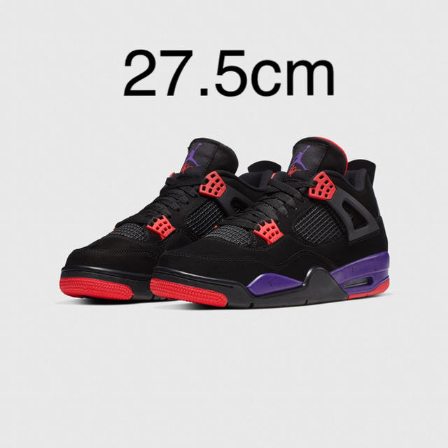 靴/シューズAir jordan 4 retro Raptors