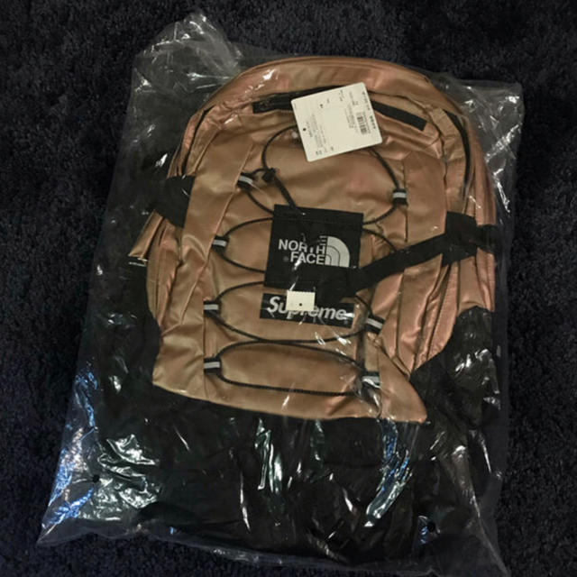 Supreme North Face Metallic Backpack
