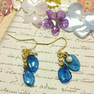 紺色の紫陽花花びらにピアス(ピアス)