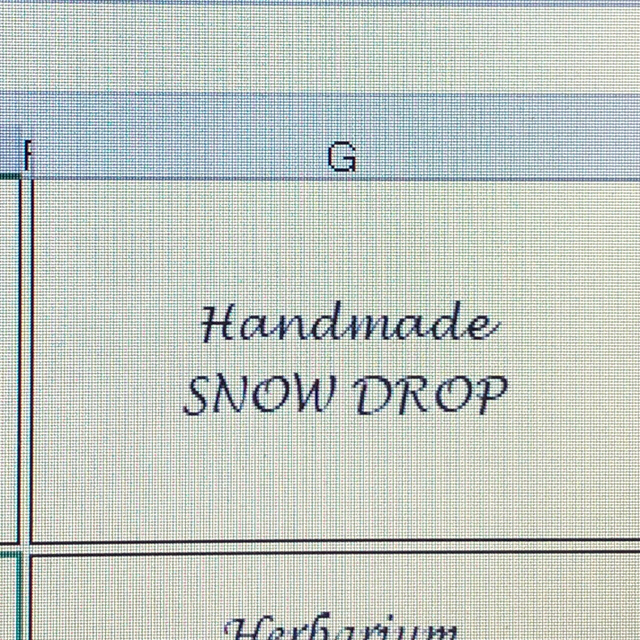 Snowdrop様専用オーダー品 ハンドメイドの文具/ステーショナリー(カード/レター/ラッピング)の商品写真