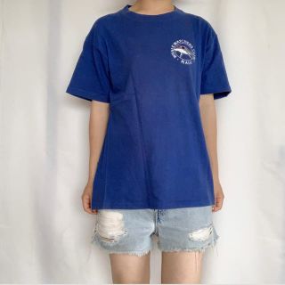 サンタモニカ(Santa Monica)の古着　90s サメ柄TEE(Tシャツ/カットソー(半袖/袖なし))