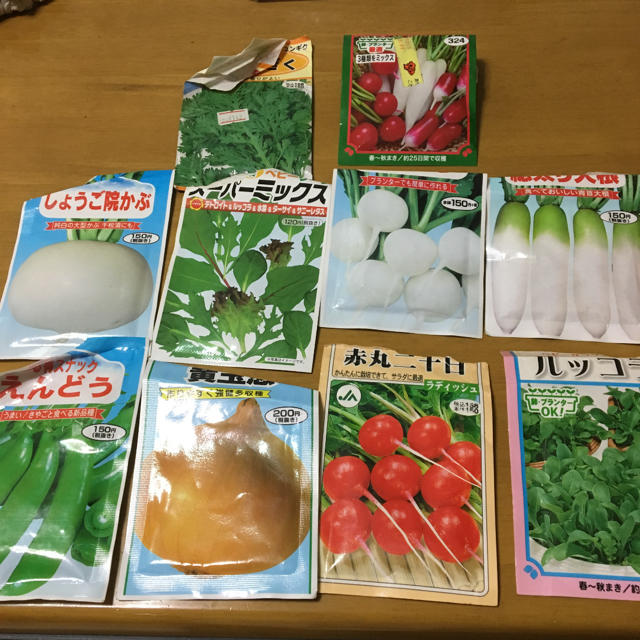 今が蒔き時 野菜の種 10種類 セット ハンドメイドのフラワー/ガーデン(プランター)の商品写真