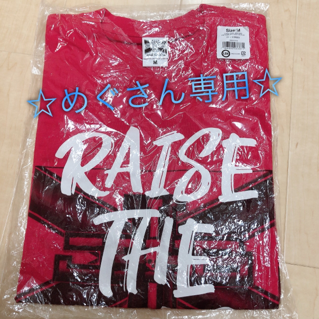 三代目 J Soul Brothers(サンダイメジェイソウルブラザーズ)の☆新品未使用 RAISE THE FLAG Tシャツ 赤☆ エンタメ/ホビーのタレントグッズ(ミュージシャン)の商品写真