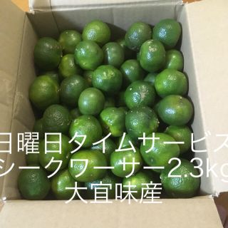 シークワーサー2.3kg 大宜味産(フルーツ)