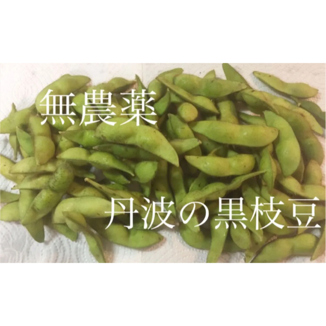 無農薬 丹波の黒枝豆 食品/飲料/酒の食品(野菜)の商品写真