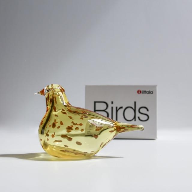 iittala - イッタラ バード Siru オイバトイッカ シエッポ の通販 by Glass Birds｜イッタラならラクマ
