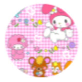 ひとみ's shop様　専用(ダイエット食品)