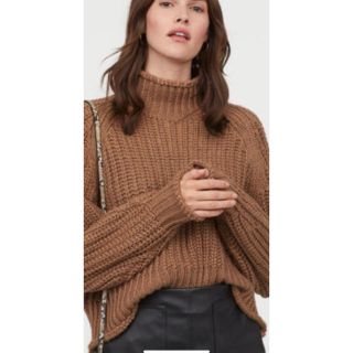 エイチアンドエイチ(H&H)のチャンキーニット　H&M ブラウン(ニット/セーター)