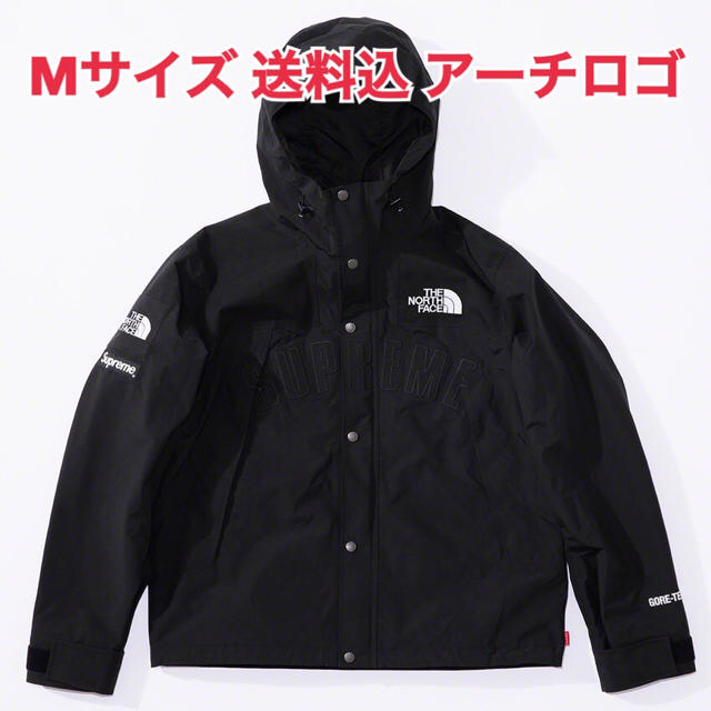 Supreme The North Face Mountain Parka