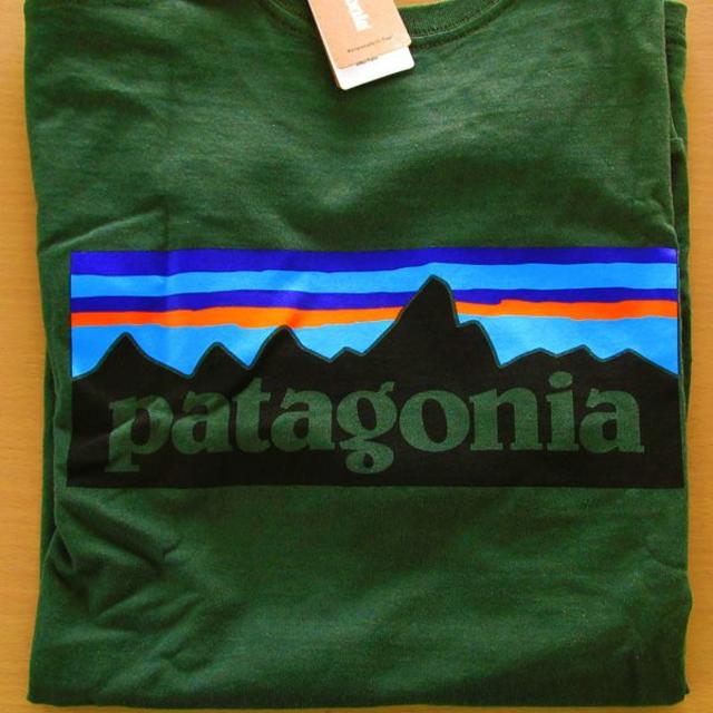 patagonia(パタゴニア)のS 日本未発売 海外限定色 新品パタゴニア ロングスリーブ P6 ロゴ メンズのトップス(Tシャツ/カットソー(七分/長袖))の商品写真