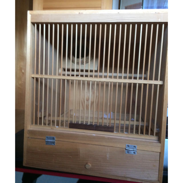 手作り木製鳥かご 手作り木製鳥かご