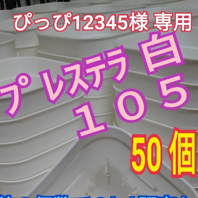 【ぴっぴ12345様 専用】【スリット鉢】プレステラ105 白 50個 ハンドメイドのフラワー/ガーデン(プランター)の商品写真