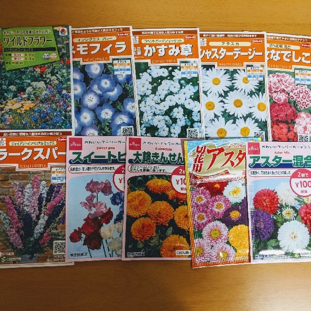 【野菜・花の種】ほうれん草など6種類セット!!　その他90種類も対応致します 食品/飲料/酒の食品(野菜)の商品写真