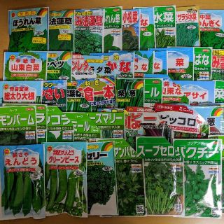 【野菜・花の種】ほうれん草など6種類セット!!　その他90種類も対応致します(野菜)