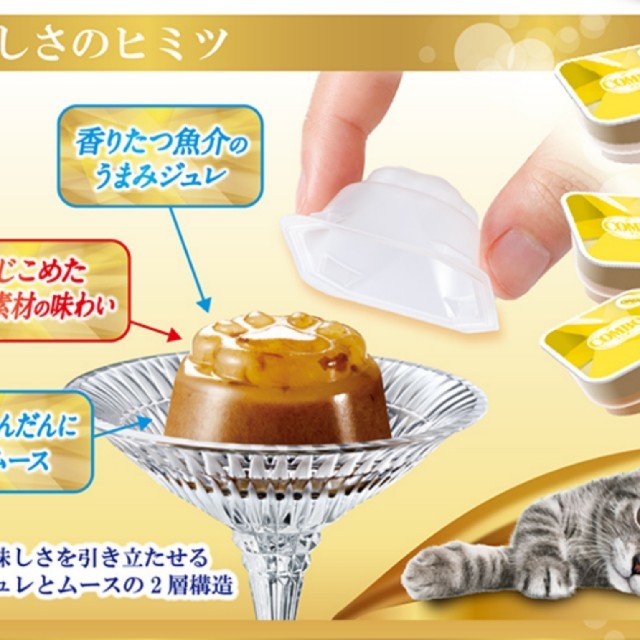 プチキャット✳️ 4種4袋24食セット ✳️ コンボ キャット プチ連カップ