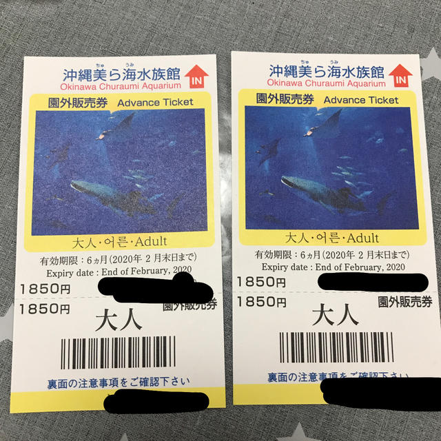 信頼】 沖縄 美ら海水族館 入場券 チケット i9tmg.com.br