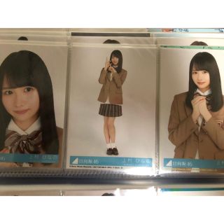 ケヤキザカフォーティーシックス(欅坂46(けやき坂46))の上村ひなの　生写真　コンプ(アイドルグッズ)