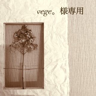 プティマイン(petit main)のvege。様(ワンピース)