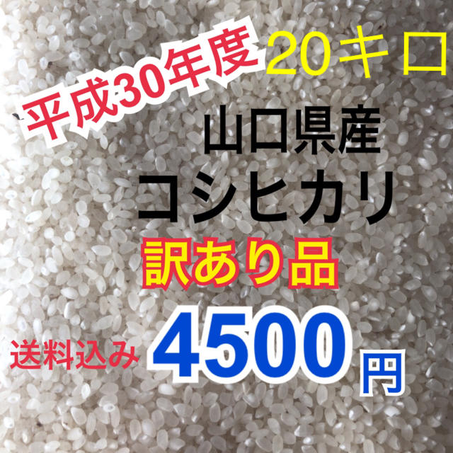 平成30年度　山口県産コシヒカリ20キロ　訳あり品 食品/飲料/酒の食品(米/穀物)の商品写真